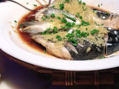 -绿茶餐厅(同成街华联店)