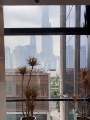 -SKINIST丽铂医疗美容