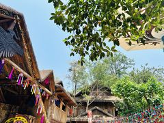 -西双版纳原始森林公园