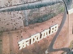 -上海小南国(仲盛世界商城店)