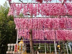 -丽泽山庄·生态怀柔菜·虹鳟鱼(红螺寺店)