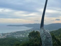 -三亚亚龙湾人间天堂鸟巢度假村