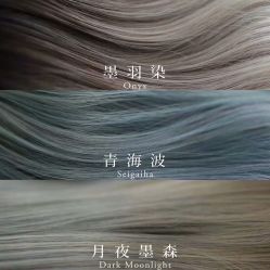 -红人馆造型十添