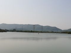 -长田漾湿地公园