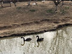-云水涧亲子度假酒店