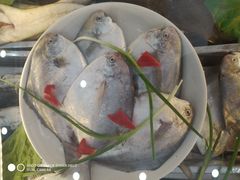 -吕四渔港码头海鲜餐厅