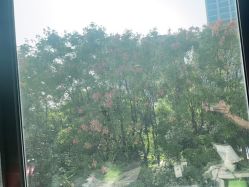 -上海首尔丽格医疗美容医院
