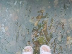 -门城湖公园