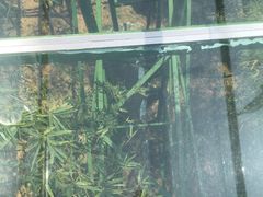 -陶祖圣境风景区