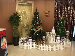 -西安伊美尔医疗美容医院