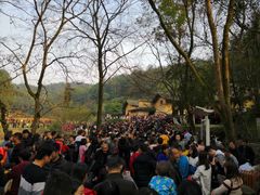 -韶山毛泽东同志故居