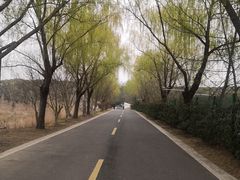 -同里国家湿地公园
