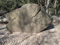 -上海佘山国家森林公园天马山园