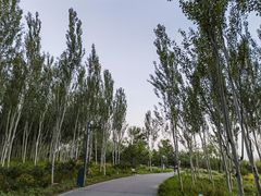 -东郊湿地公园
