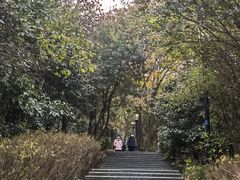-宝界山林公园