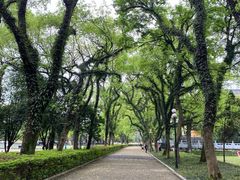 -桂林独秀峰王城景区