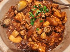 -新雅粤菜馆(南京东路店)