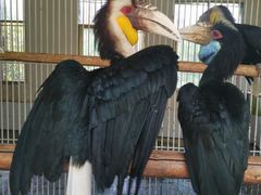 -贵州森林野生动物园