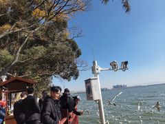 -滇池海埂公园