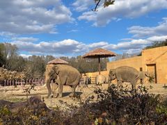 -沈阳森林动物园