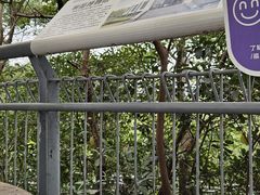 -佛山华盖山公园