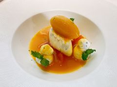 -蝶舍·MAISON PAPILLON