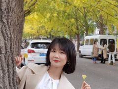 -三里屯东五街银杏大道
