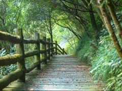 -窦圌山风景区