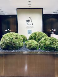点击看大图 -广州文华东方酒店·水疗中心