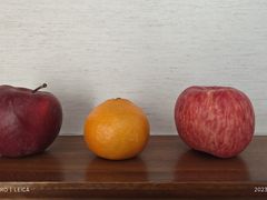 -南太湖山庄·四季轩&国风堂中餐厅