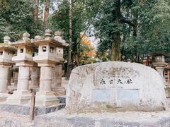 -奈良公园