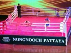 -东芭乐园