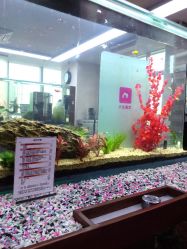 IMAG2662_mh1414067085851-小左美发