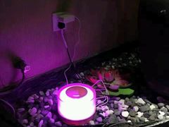 -乐享养生(东湖店)