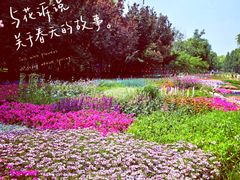 -海淀公园