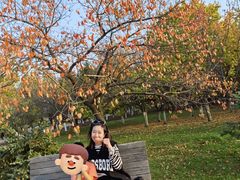 -长春世界雕塑园冰雪艺术天地