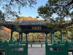 -音乐台