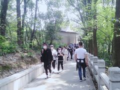 -灵岩山风景区