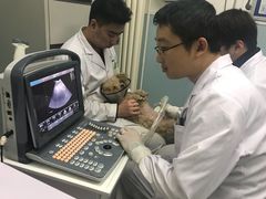 -中农大我爱我爱24h动物医院·中医针灸·猫专科·骨科医疗中心(双井店)