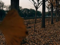 -汉景帝阳陵博物院