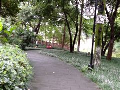 -成都市活水公园