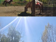 -丽江泸沽湖景区