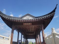 -春花秋色城市公园