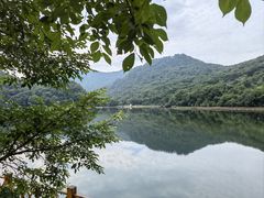 -关门山森林公园