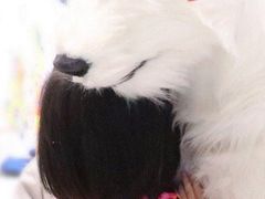 -Mr·Kuma酷么先生雪之乐园