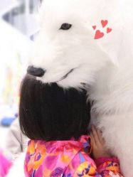 -Mr·Kuma酷么先生雪之乐园