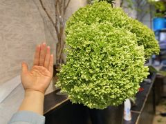 -双季花艺园艺市场(浦东店)