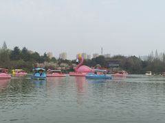 -青枫公园