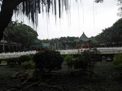 -广东圆玄道观