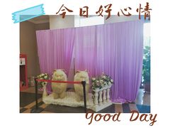 -新兴家喻酒家·羊城名宴(昌岗店)